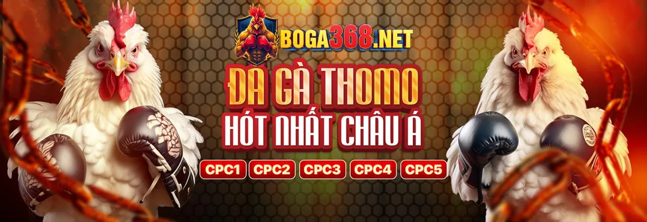 Cookie của bên thứ ba tại Sòng bạc pg88